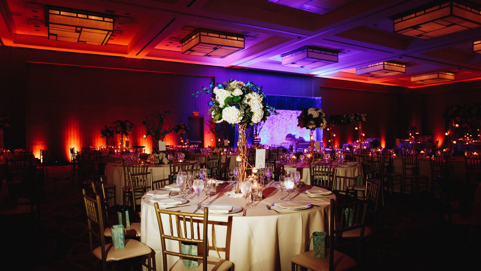 Decorated banquet hall with served round table with hydrangea ce